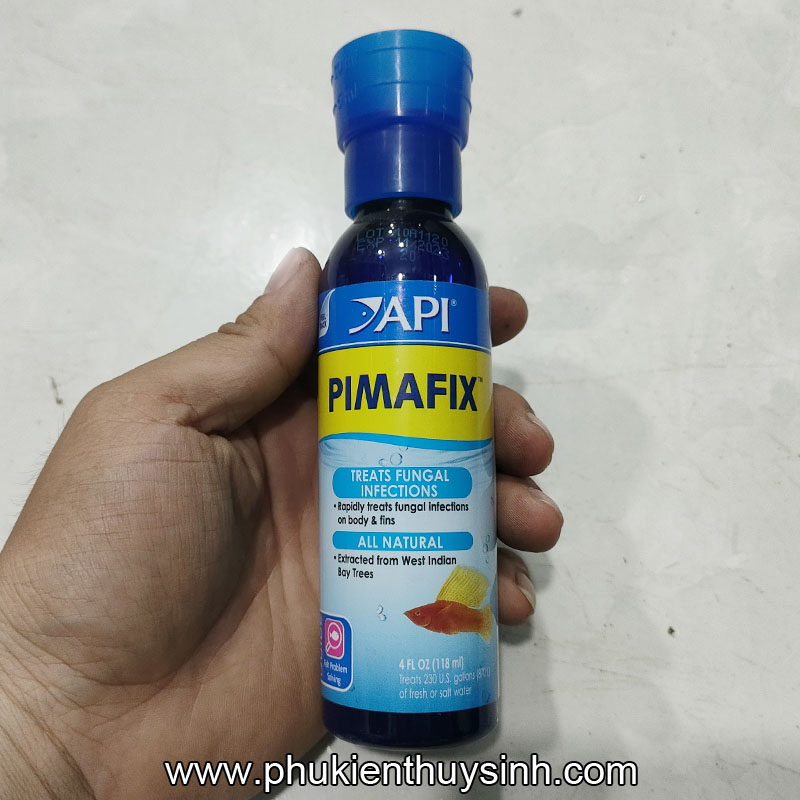 Thuốc chống nấm, đặc trị nấm cho cá API Pimafix