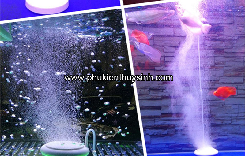 /files/sanpham/914/9.jpg