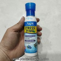 Vi sinh sống xử lý chất độc, phân hủy phân cá API Stress Zyme+