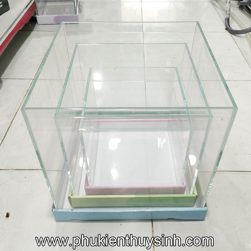 Hồ kính siêu trong Cubic nhập khẩu 20-25-30cm