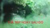Mầm tảo taiwan, mầm tảo sula - anh 11