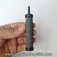 Cục sủi cây ngắn