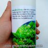Phân nước thủy sinh tổng hợp Premium Fertilizer 500ml - anh 3