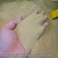 Cát nắng vàng bao 2kg - 5kg - 10kg