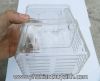 Box cá tép đẻ 2 tầng - anh 7