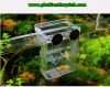 Box cá tép đẻ 2 tầng - anh 8