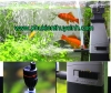 Lọc váng SunSun JY-02 3W - anh 4