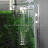 In out thủy tinh phi 13mm có lọc váng - anh 4