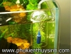 Bộ thủy tinh hòa tan oxy chống văng - anh 1