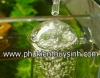 Bộ thủy tinh hòa tan oxy chống văng - anh 2