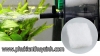 Lọc váng SunSun JY-03 5W - anh 6