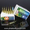 Vi sinh sống Biodigest - Pháp - anh 1