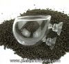 Cốc thủy tinh trồng cây - anh 1