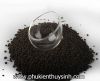 Cốc thủy tinh trồng cây - anh 2