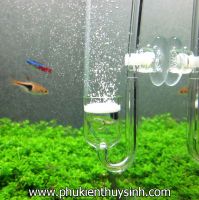 Cốc sủi CO2 thủy tinh