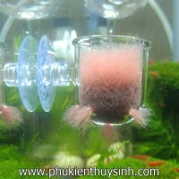 Cốc thủy tinh cho cá ăn, trồng cây dạng lỗ tròn