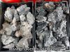 Đá tai mèo đen 30k/kg - anh 2