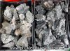 Đá tai mèo đen 30k/kg - anh 3