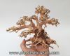 Lũa bonsai size số 1 - anh 2