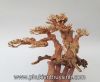 Lũa bonsai size số 1 - anh 3