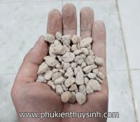 Nham thạch trắng