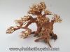 Lũa bonsai size số 2 - anh 3