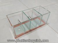 Lọc tràn trên 40, 50, 60,70cm trên cho hồ kính